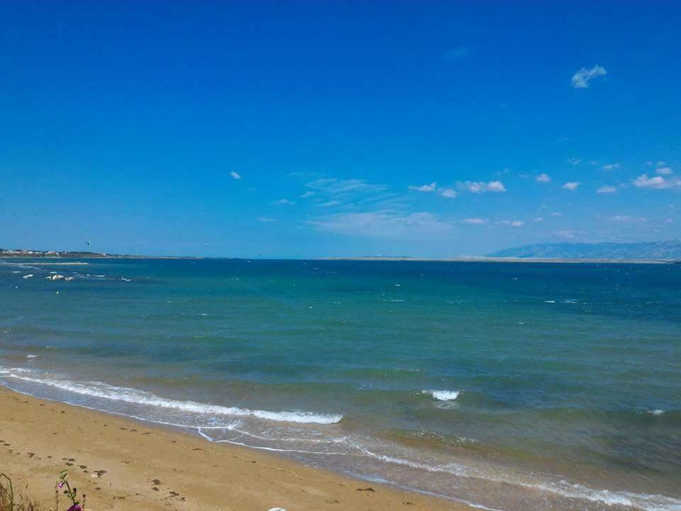 Popovic Apartament Nin